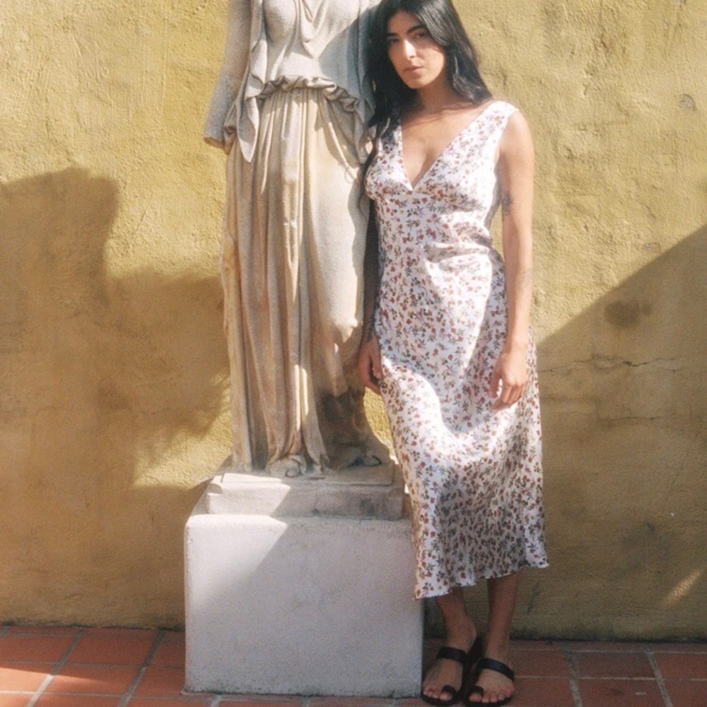 BNWT Ciao Lucia Caterina Dress Garden Silk XS